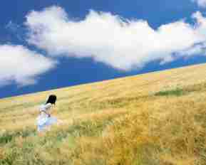 哪‌一‌种‌是﻿高‍级﻿语‍言‌